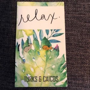 small whale earrings from turks and caicos